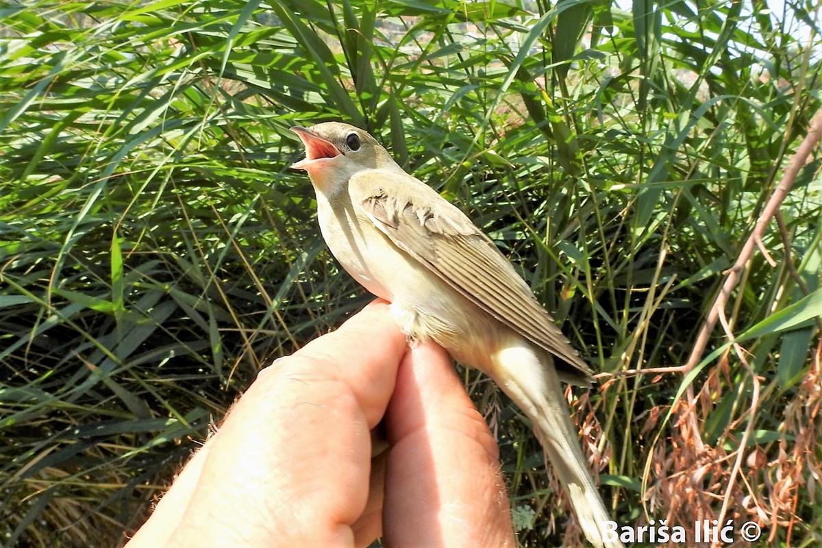 240386722_4371845446192234_8969227663030988651_n