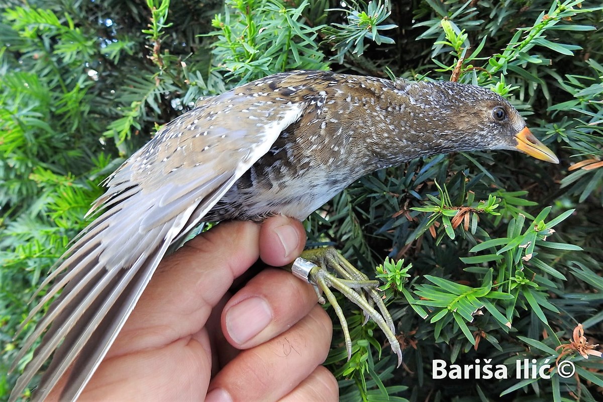 240396381_4371845839525528_204337498123978197_n