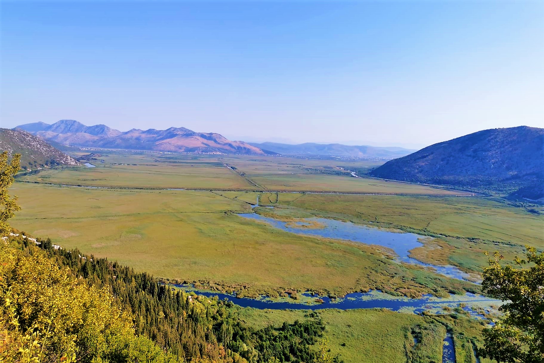 WhatsApp Image 2021-08-22 at 16