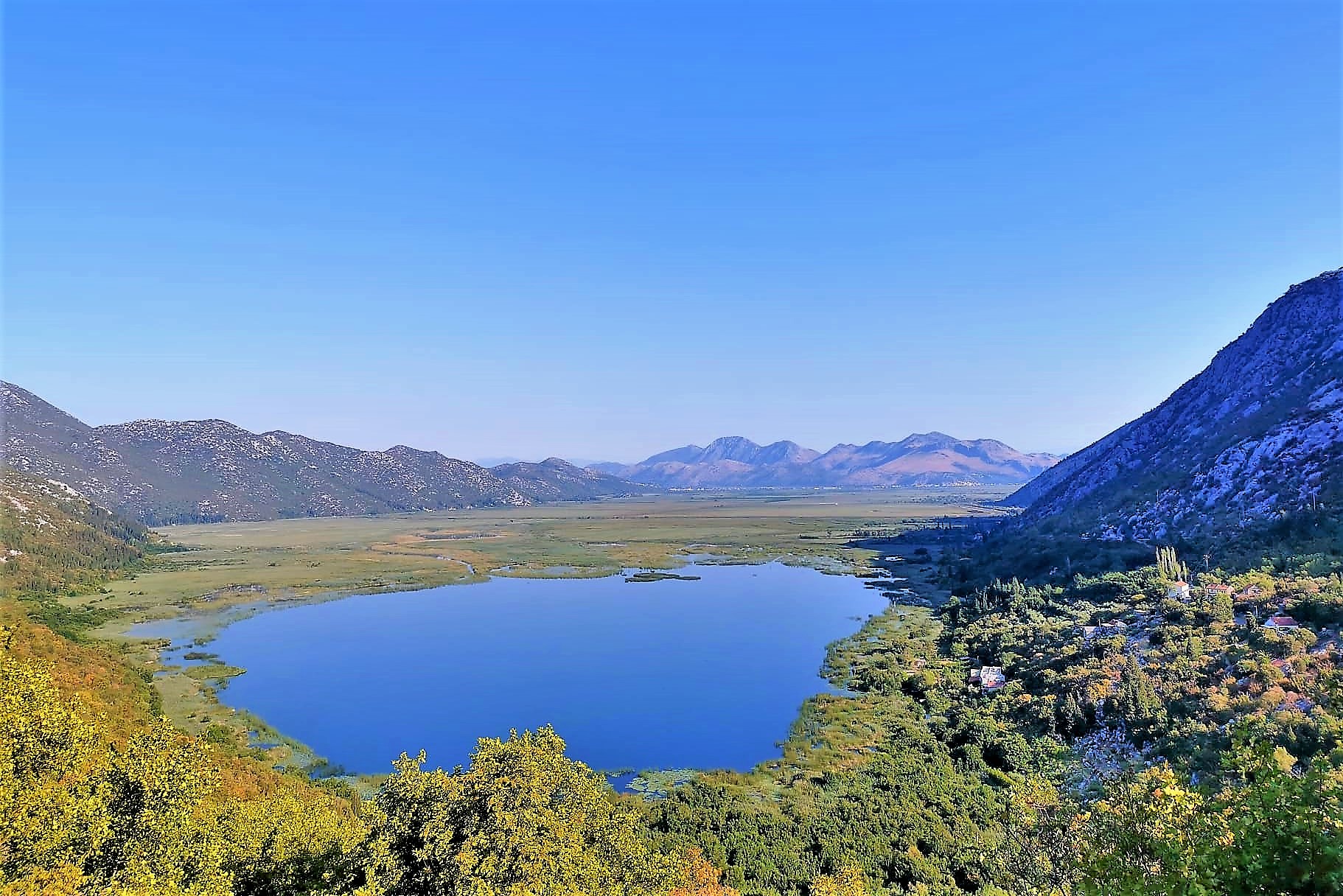 WhatsApp Image 2021-08-22 at 16