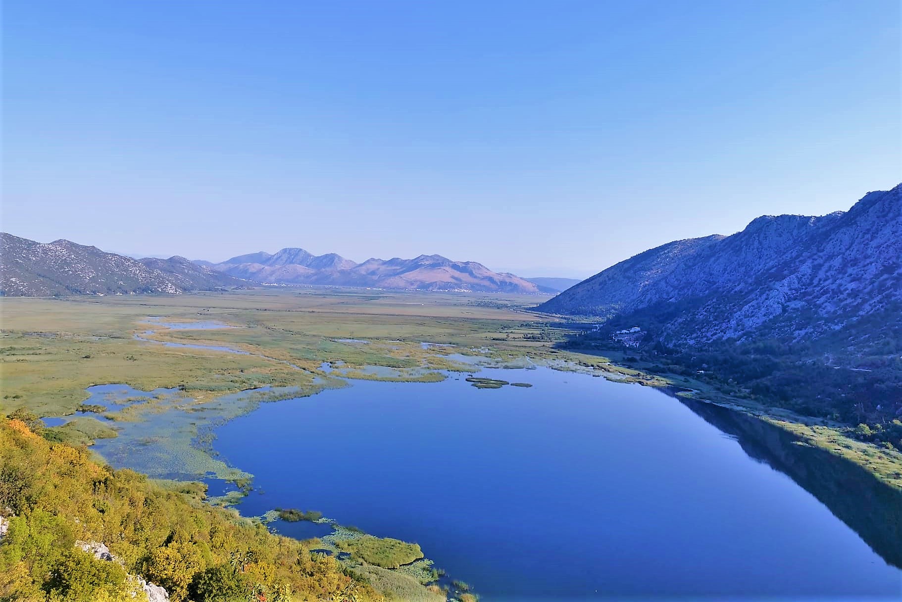 WhatsApp Image 2021-08-22 at 16