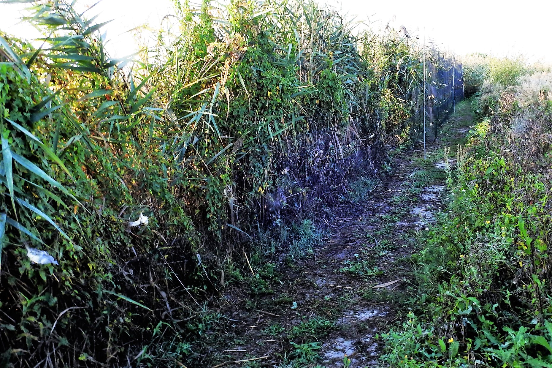 245087026_4533581706685273_4243054964821536663_n