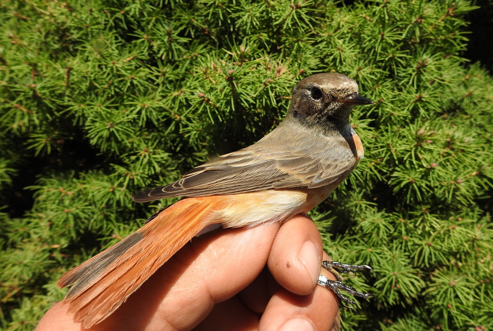 245155119_4533584933351617_5601987360262281989_n