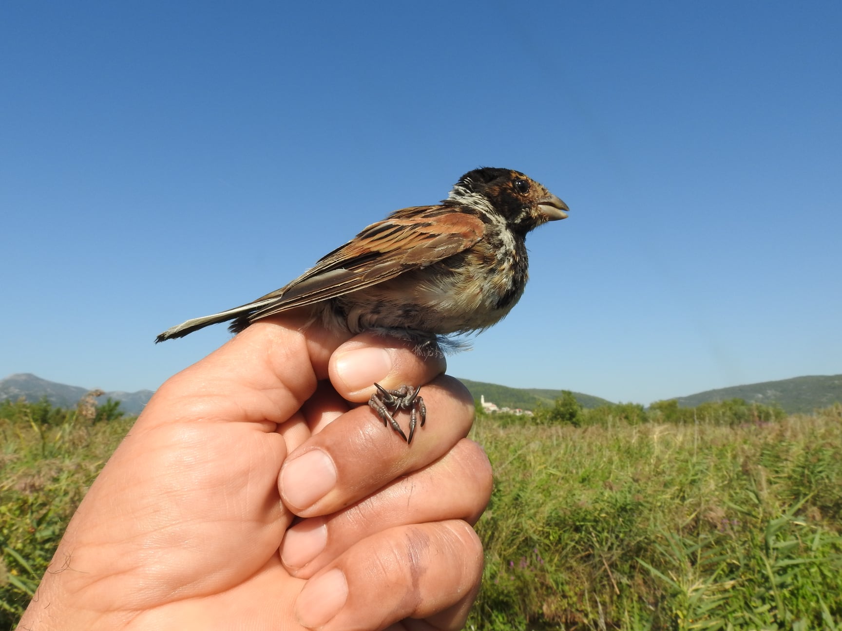 245187228_4533584306685013_3009334984362389520_n