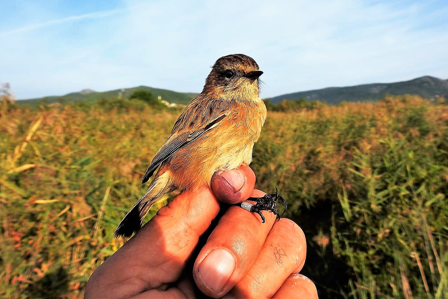 245205219_4533585076684936_2558227441809381703_n