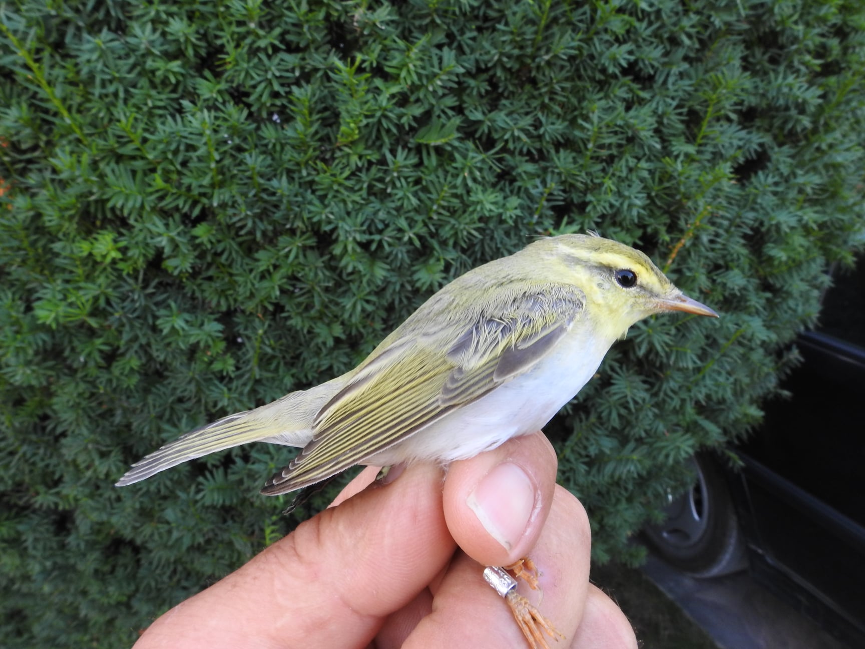 245240901_4533584923351618_1243799181944419396_n