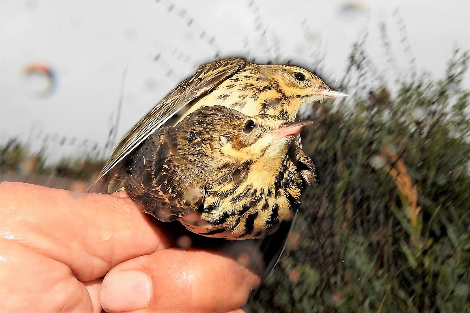 245244490_4533585256684918_2618218486365098858_n