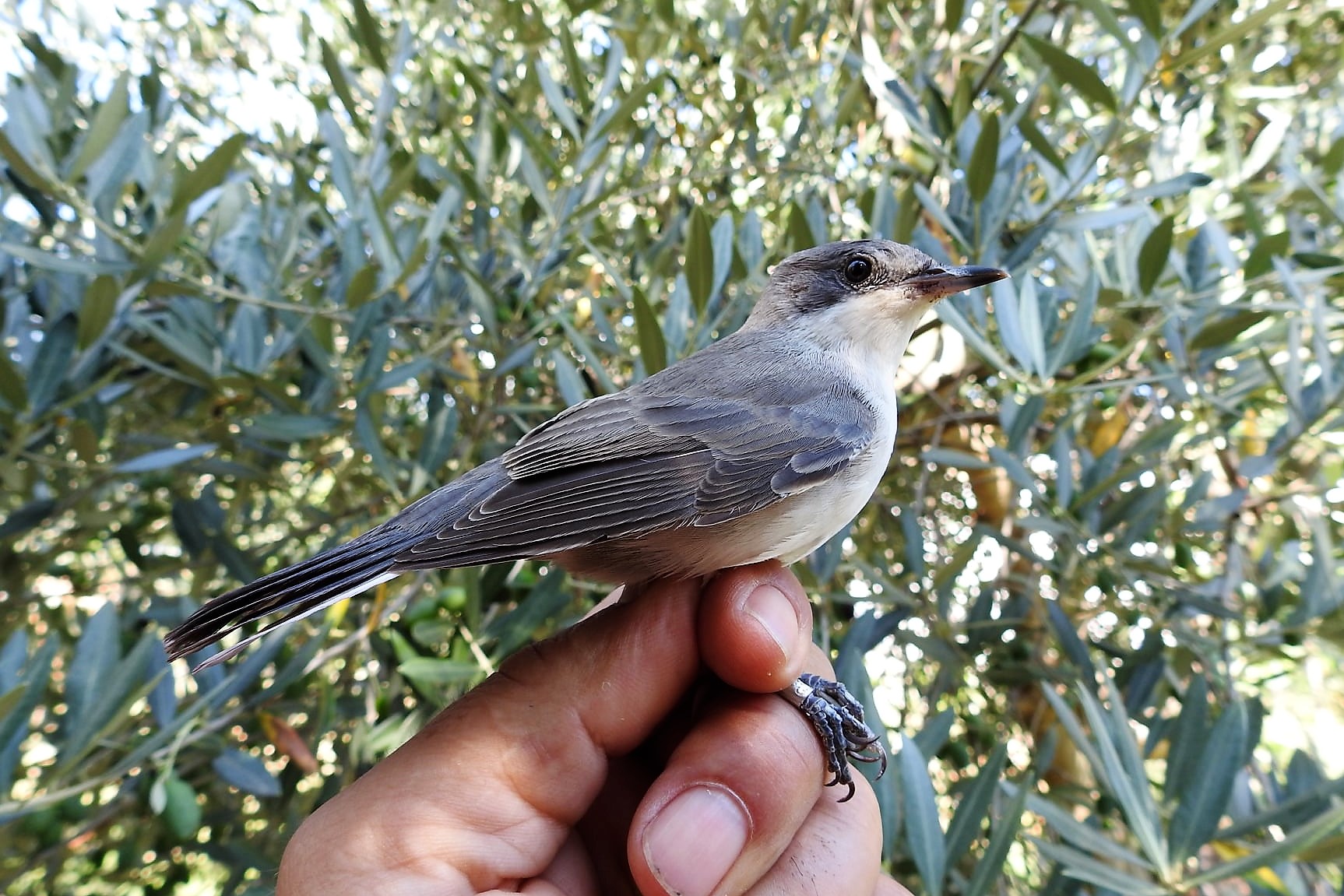 245262428_4533585340018243_6391483171531293454_n