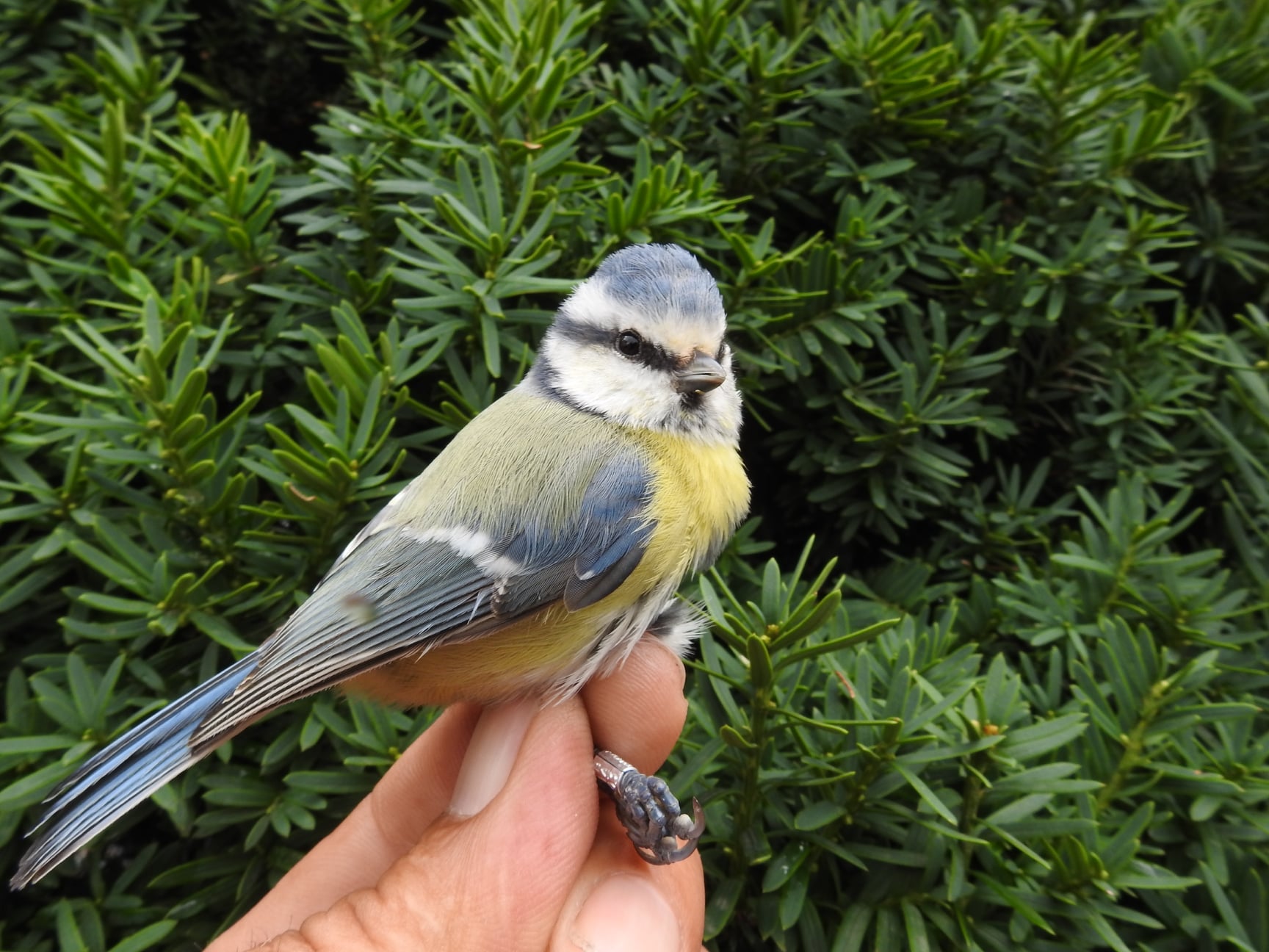 245363238_4533585170018260_36798964908260269_n