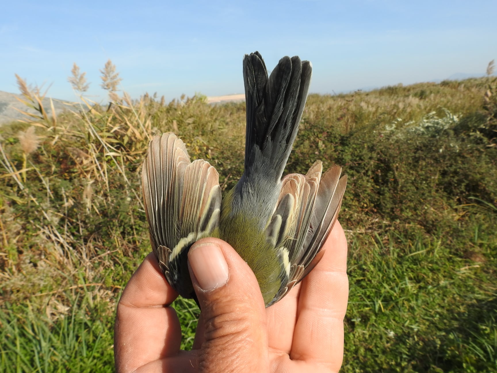 249278497_4592676290775814_8790142349555418700_n