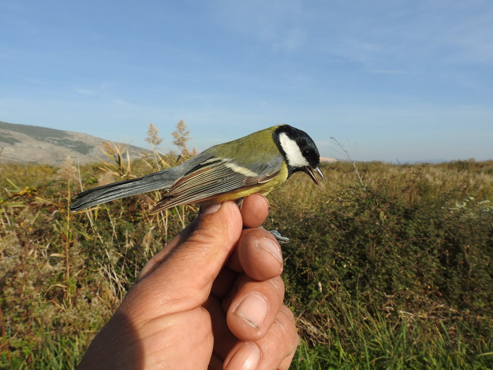 249323491_4592676127442497_5544150712117154881_n