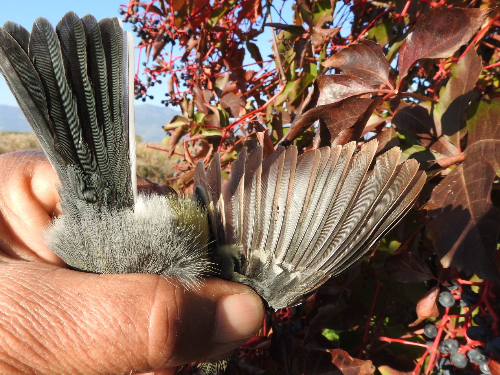 249585472_4592676867442423_2850245430351829634_n