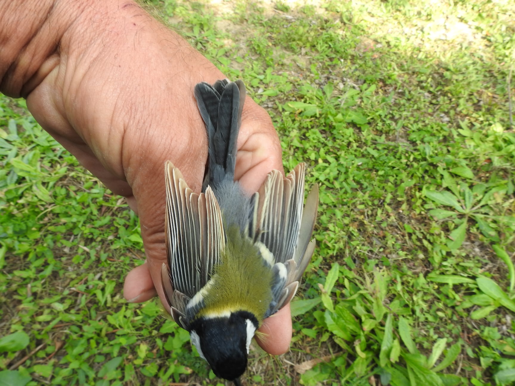 251127194_4592676307442479_2716019156506895452_n