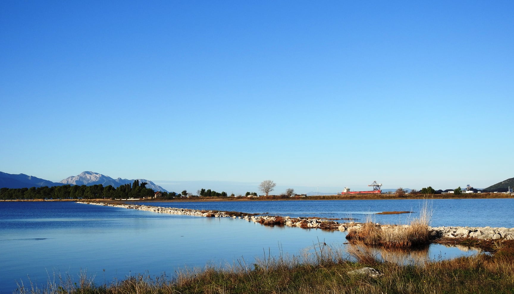 264109355_4721536497889792_4034775611794434704_n