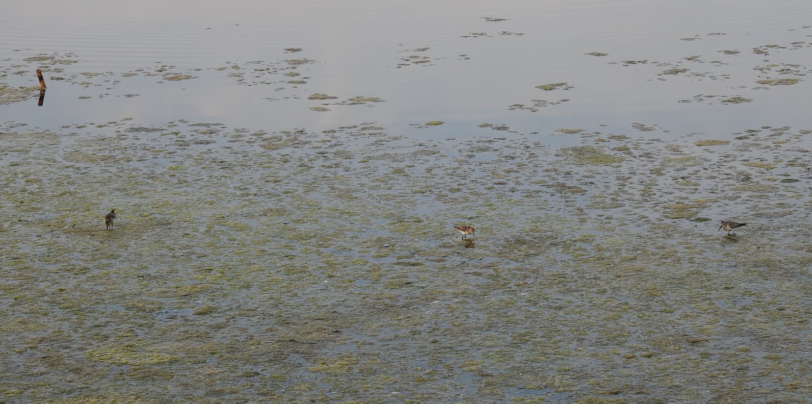 264287724_4721536914556417_4965111603802147198_n