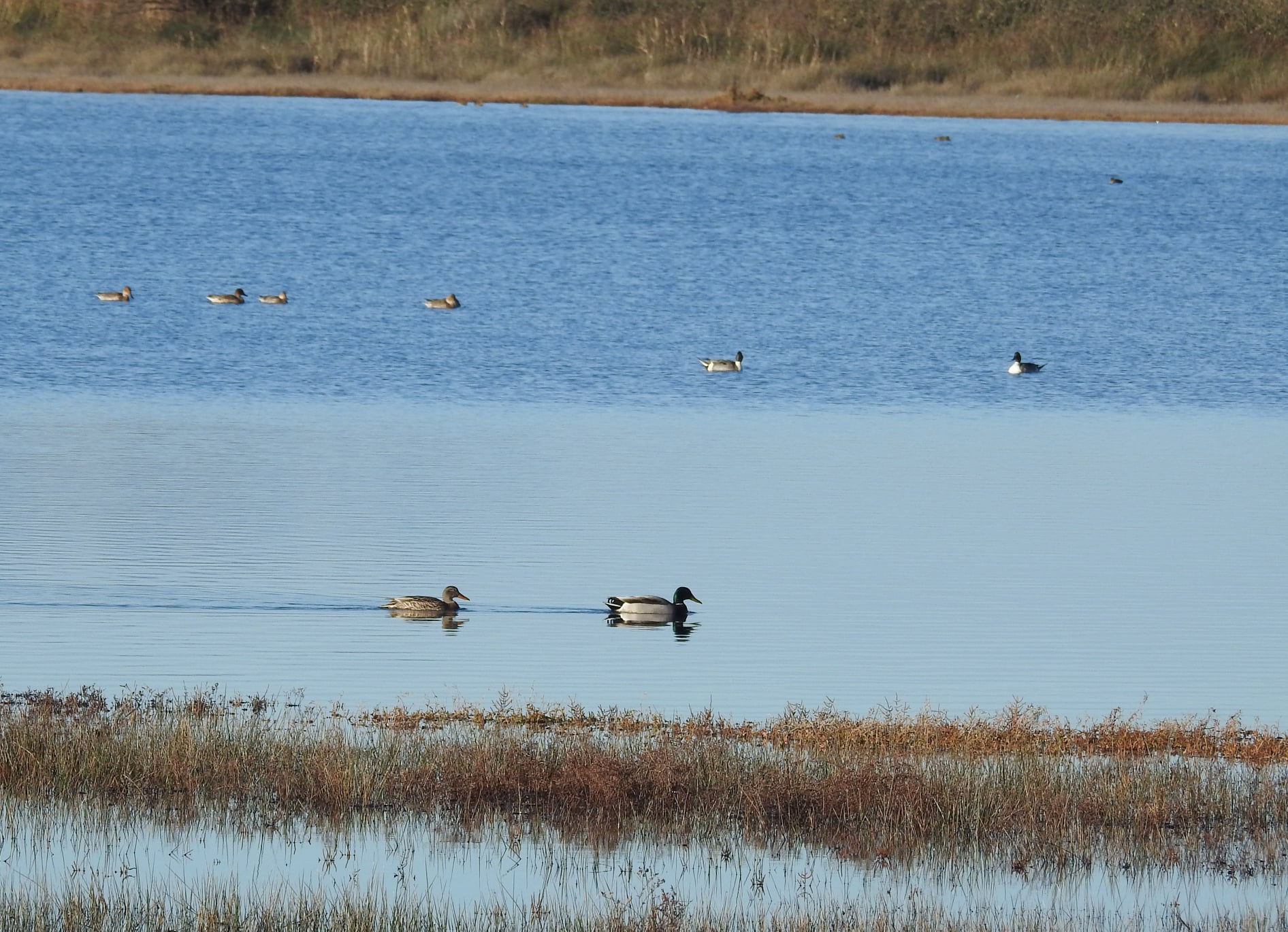 264294907_4721536921223083_745325852950101056_n