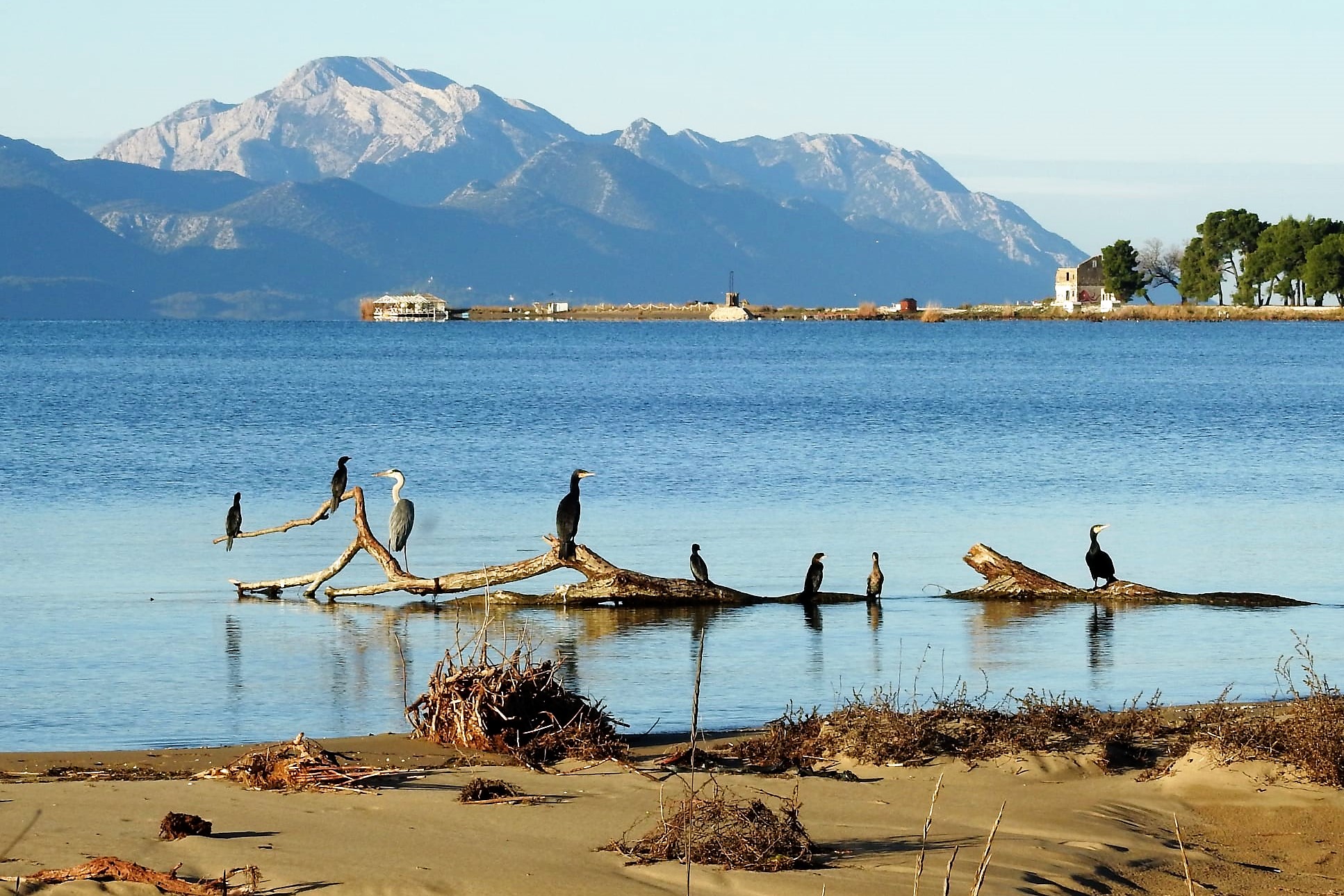 264458080_4721534777889964_2664160377620336823_n