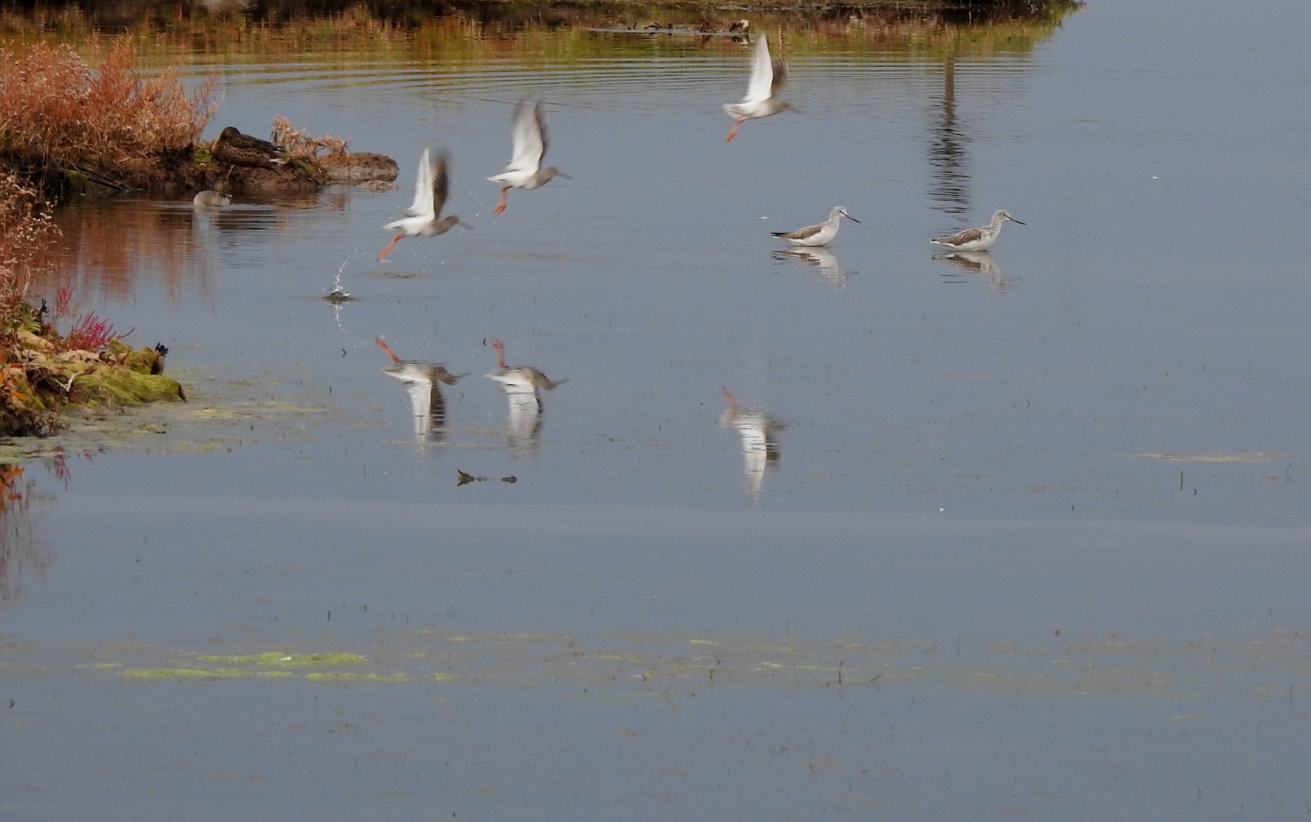 264563920_4721532604556848_8498176985297961126_n