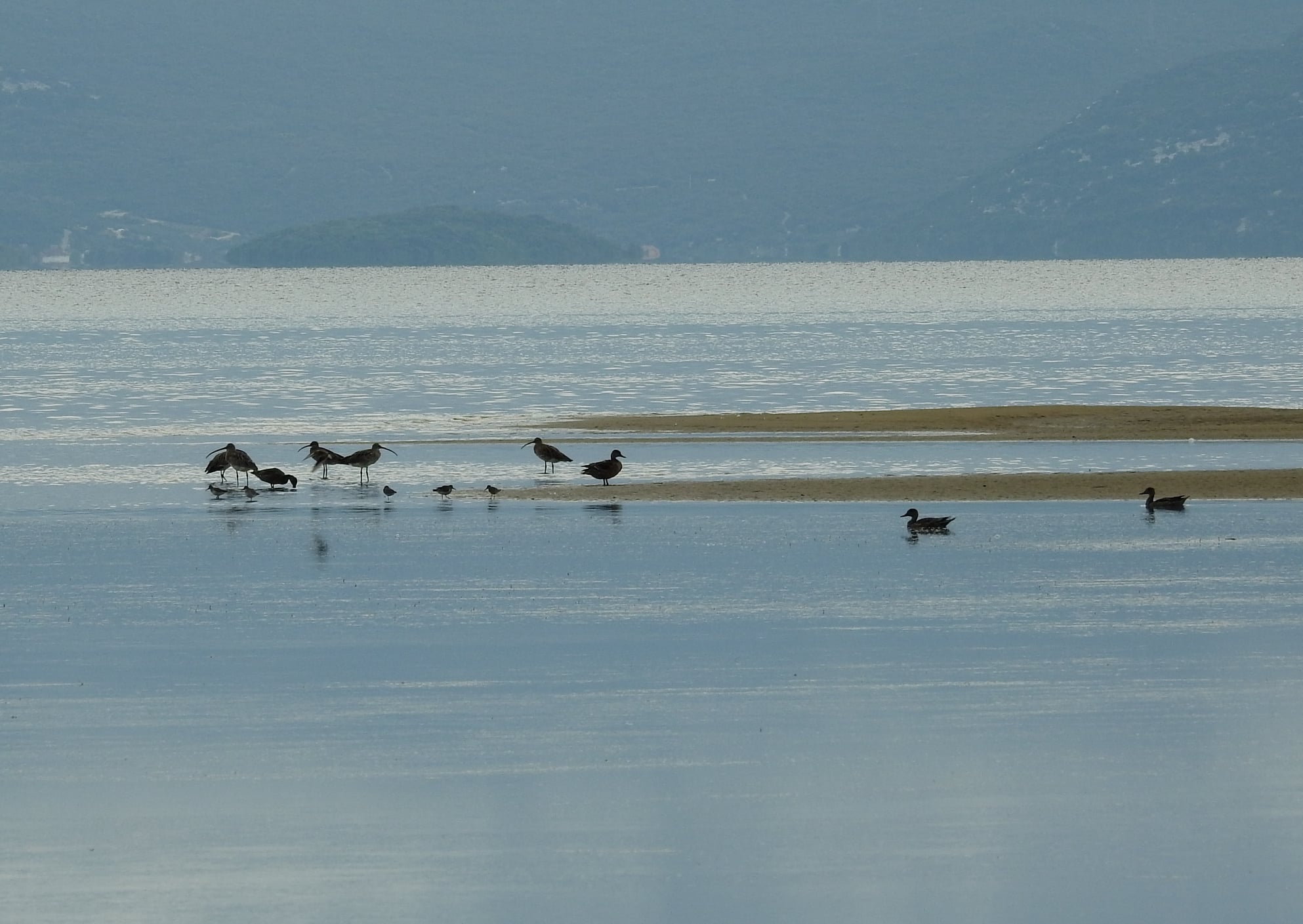 264642938_4721536354556473_5550347727342662929_n