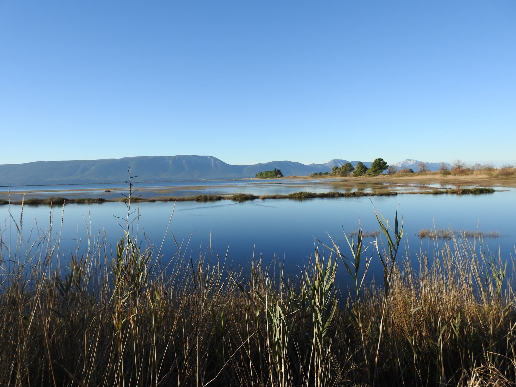 264811673_4721534031223372_5139505557578167800_n