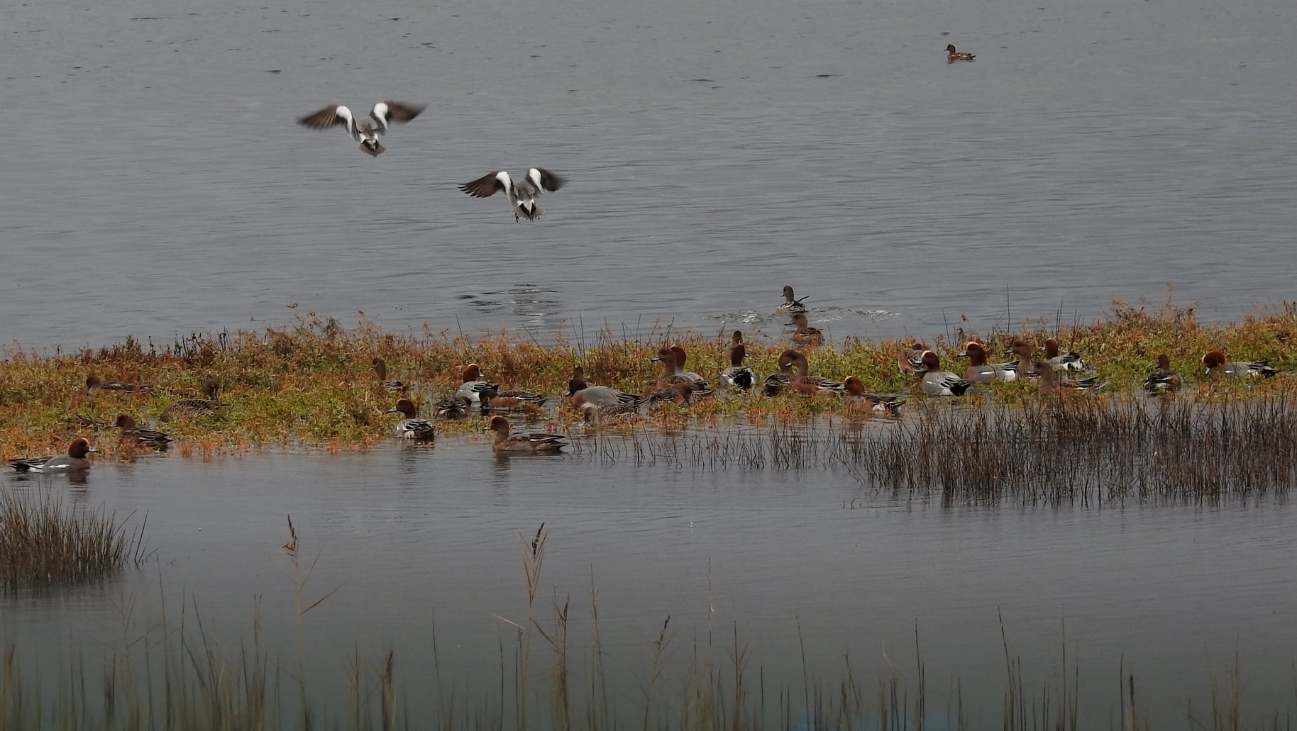 264838046_4721533544556754_7690151792357540414_n