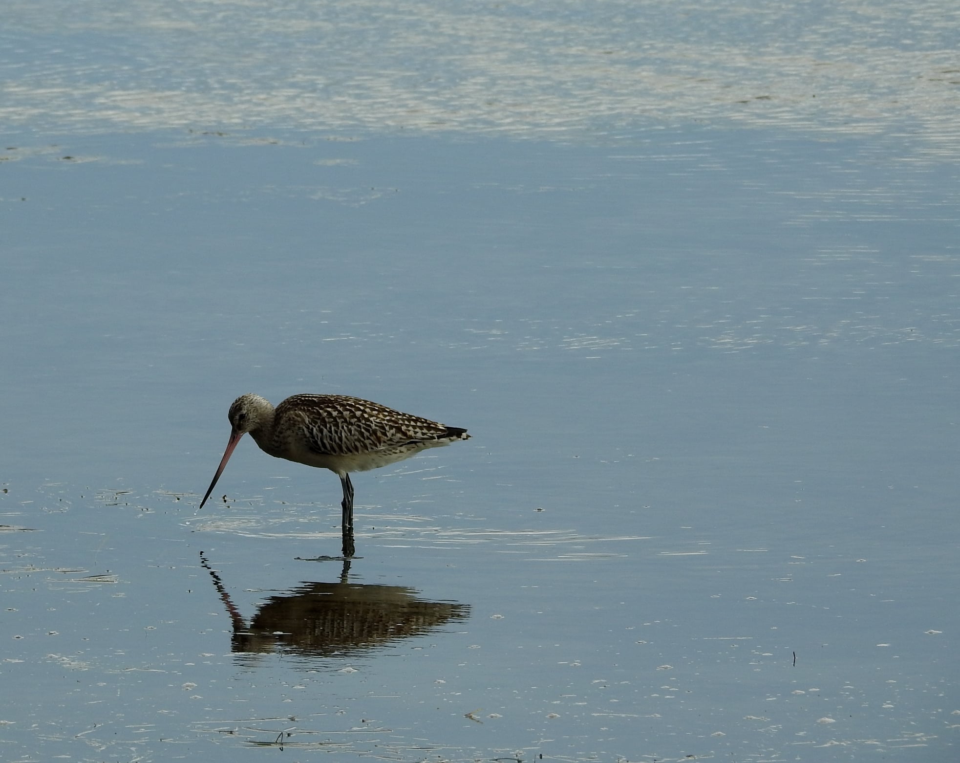 264840627_4721533291223446_1960910132591046656_n