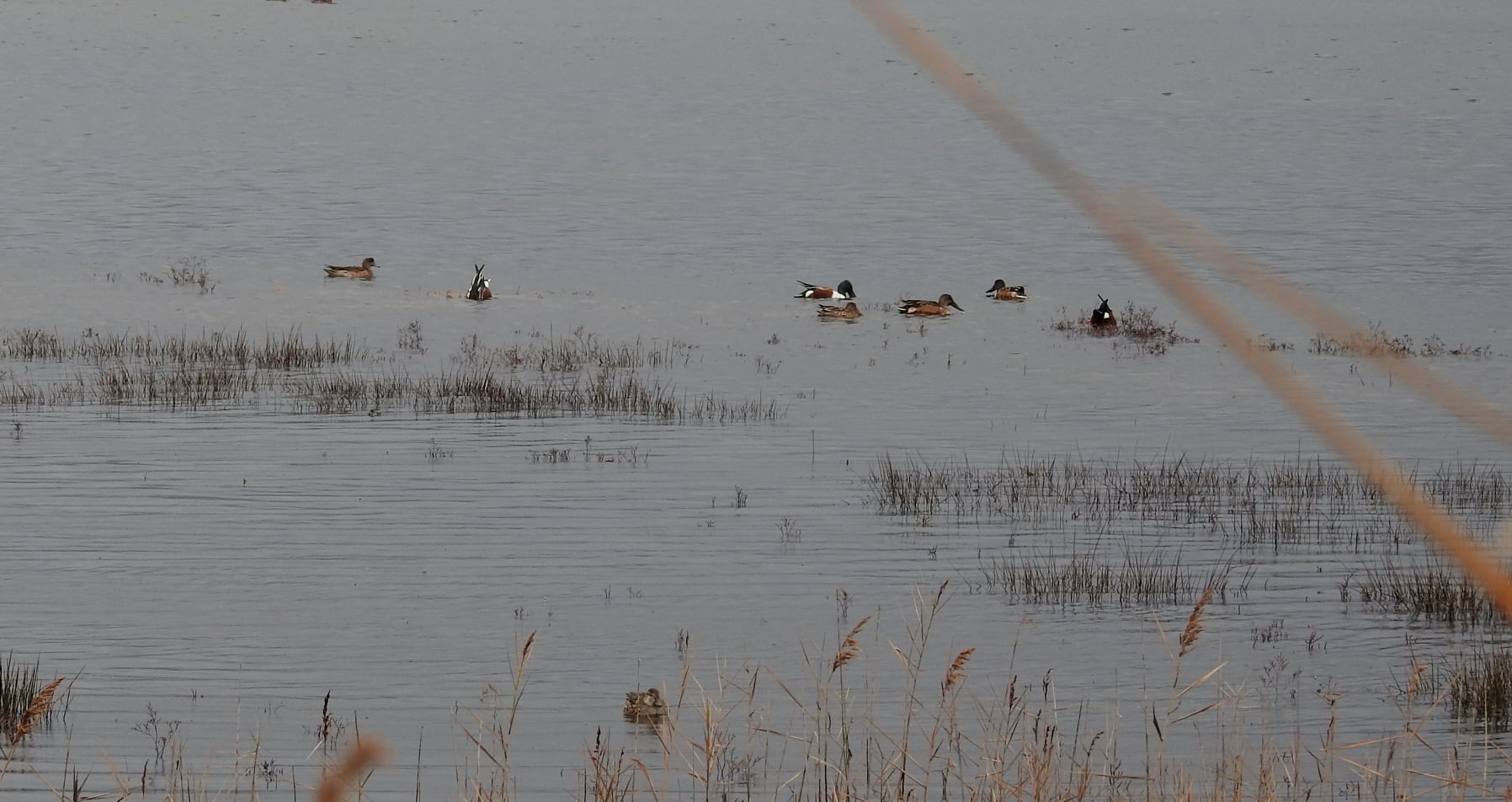 264910867_4721536054556503_5857385105113588407_n