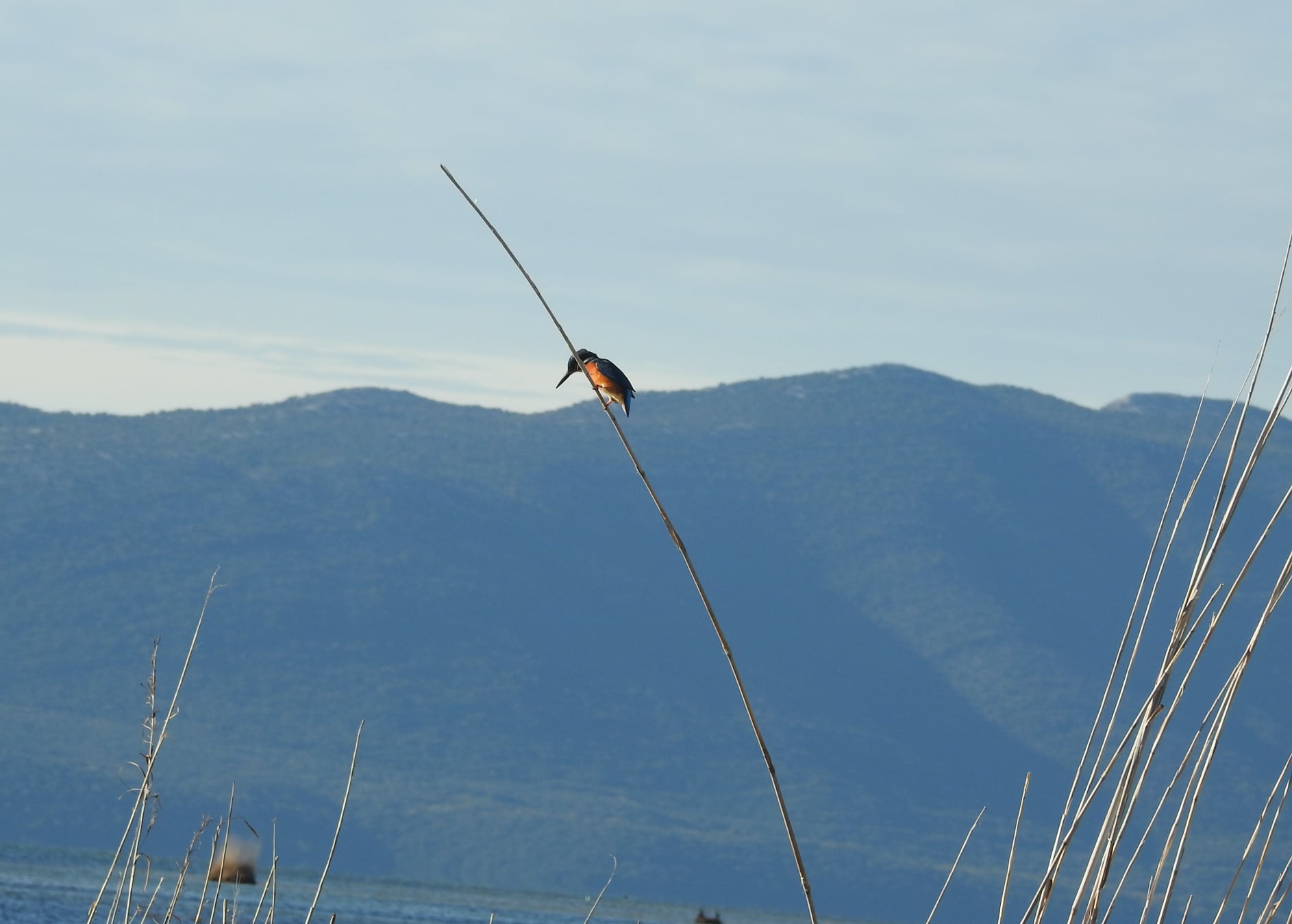 264993764_4721532254556883_6896752249560386358_n