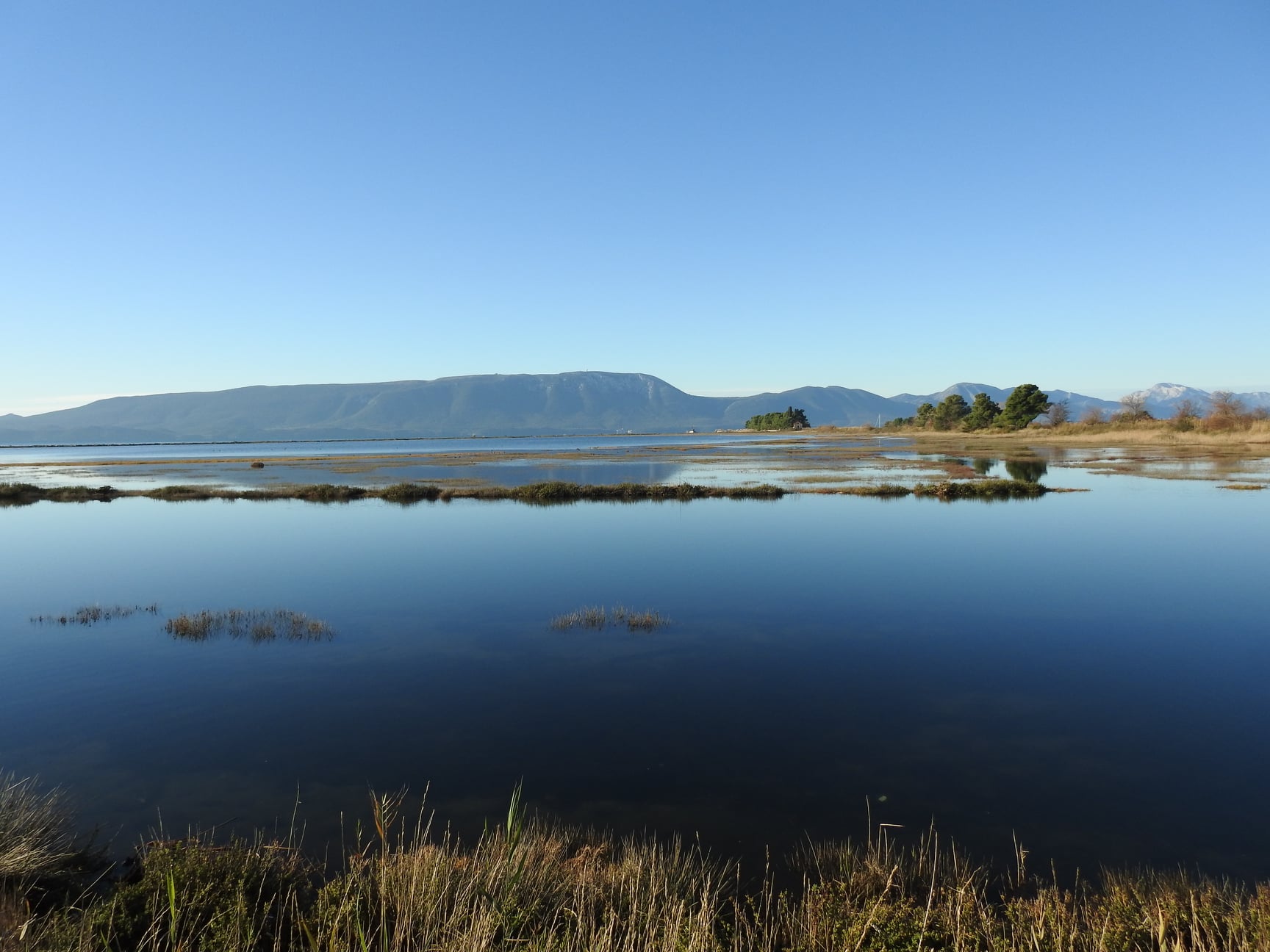 265407401_4721532694556839_298679248882043806_n