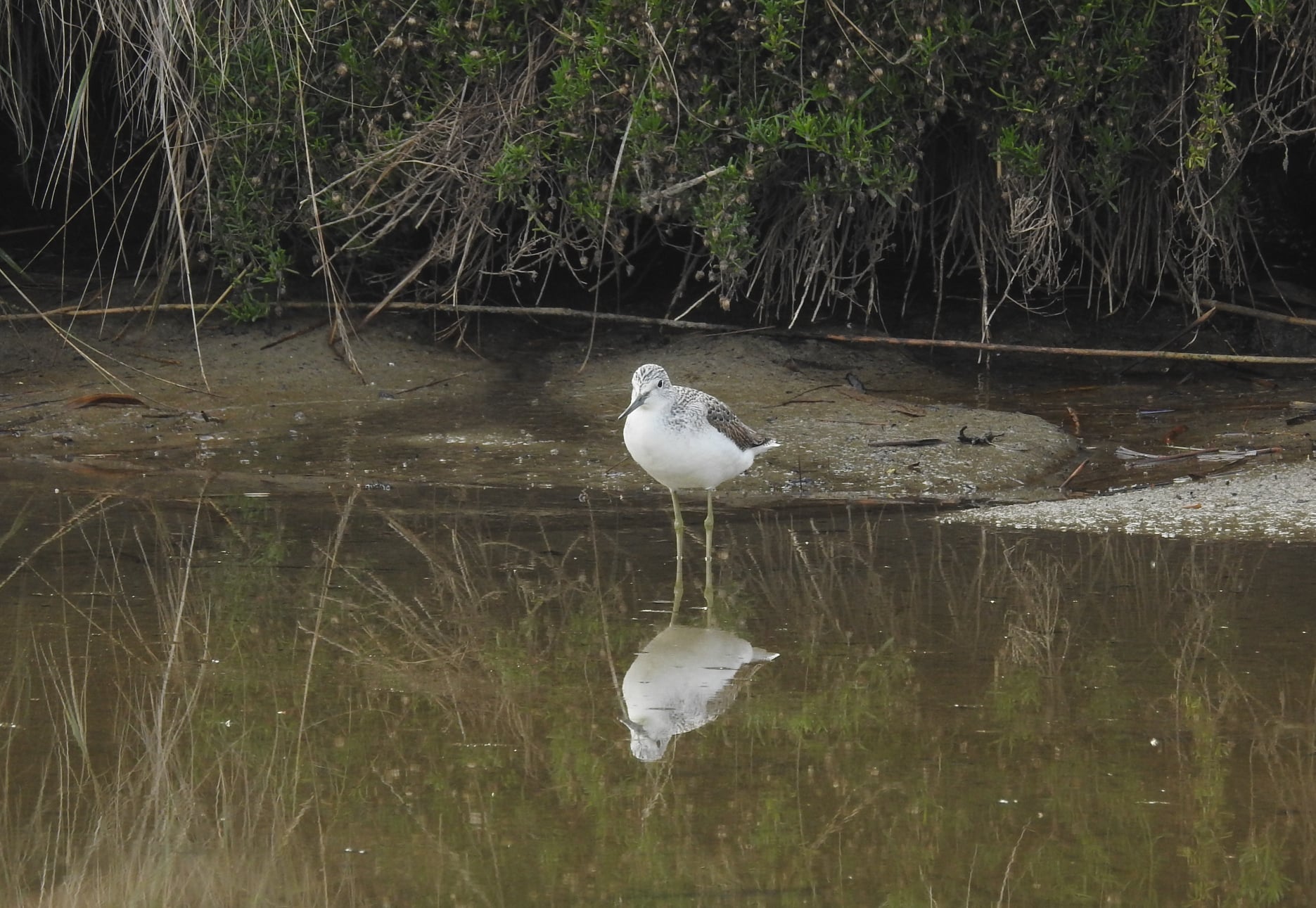 265964876_4721535294556579_363894706480776269_n