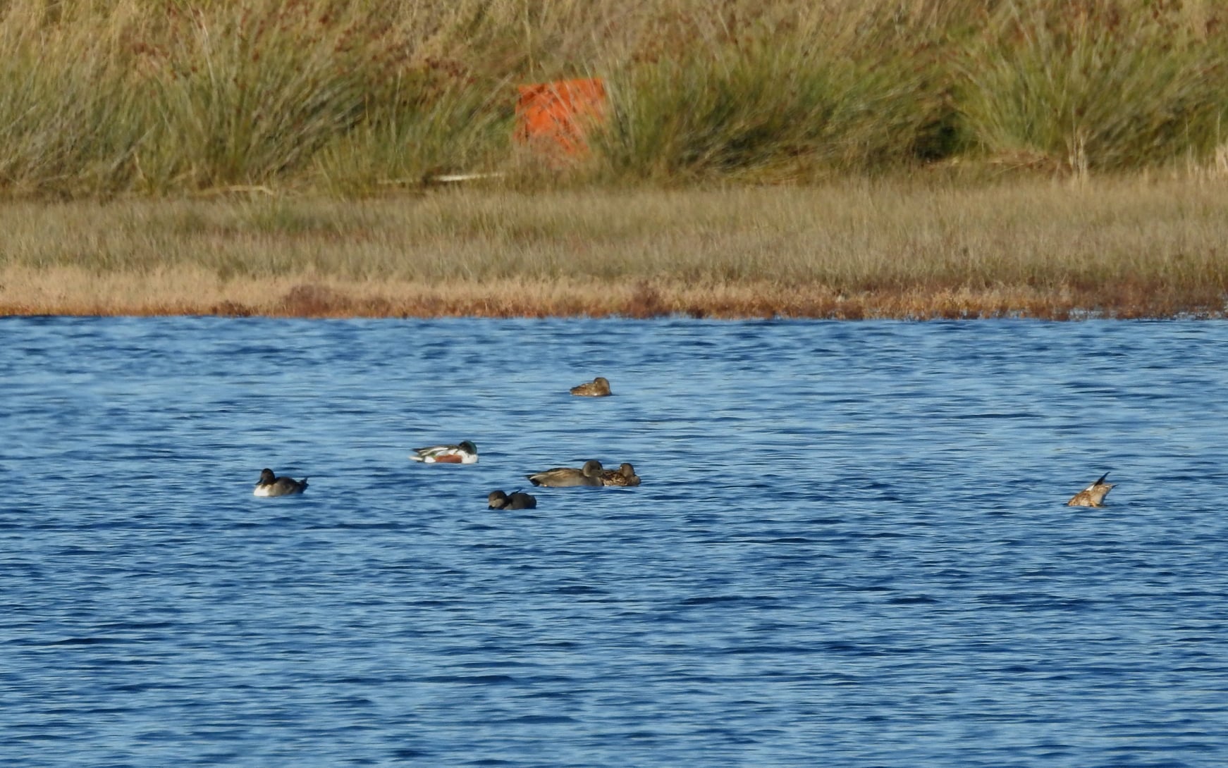 265968656_4721534481223327_6062853711028287335_n