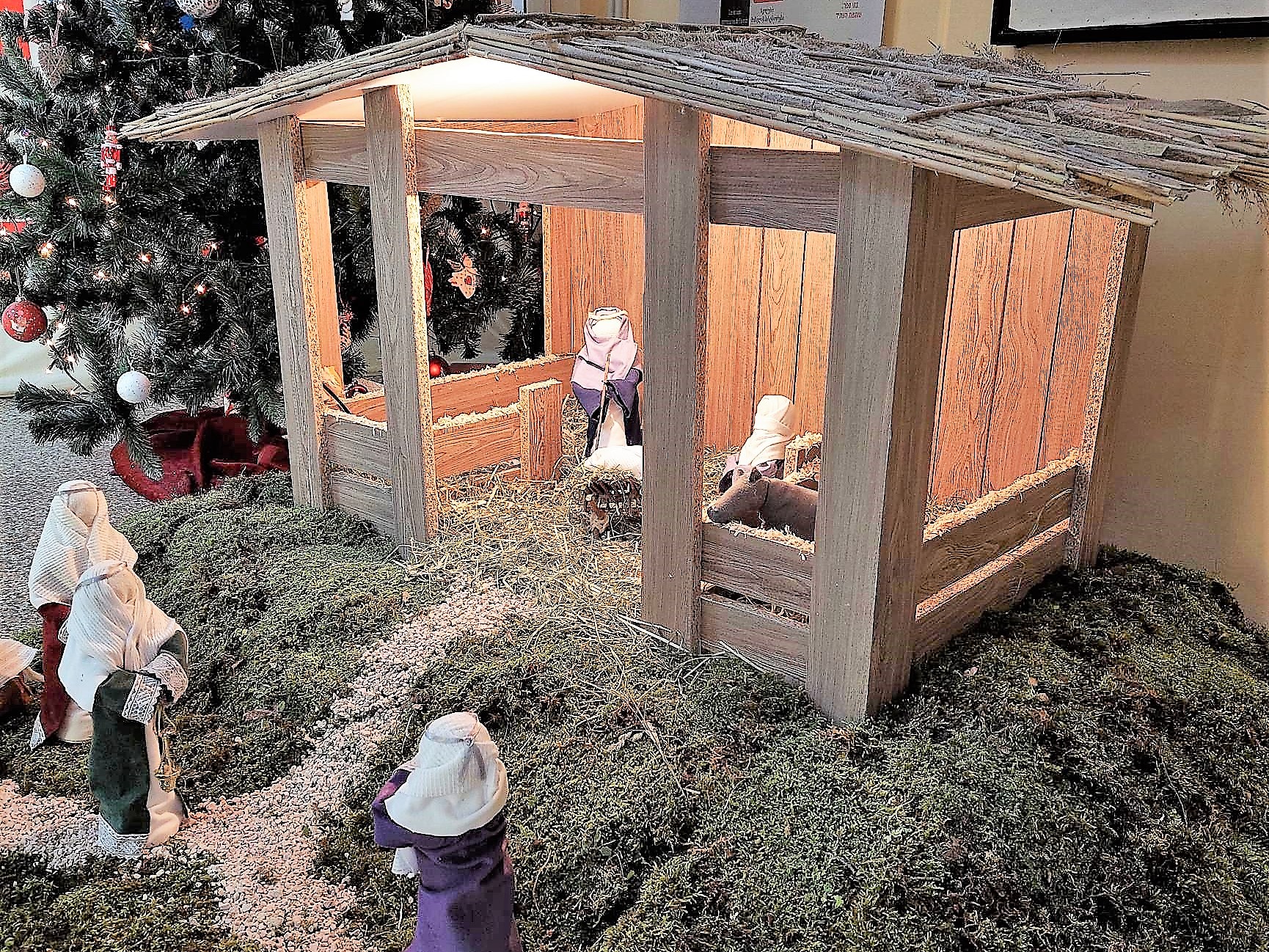 MicrosoftTeams-image 181