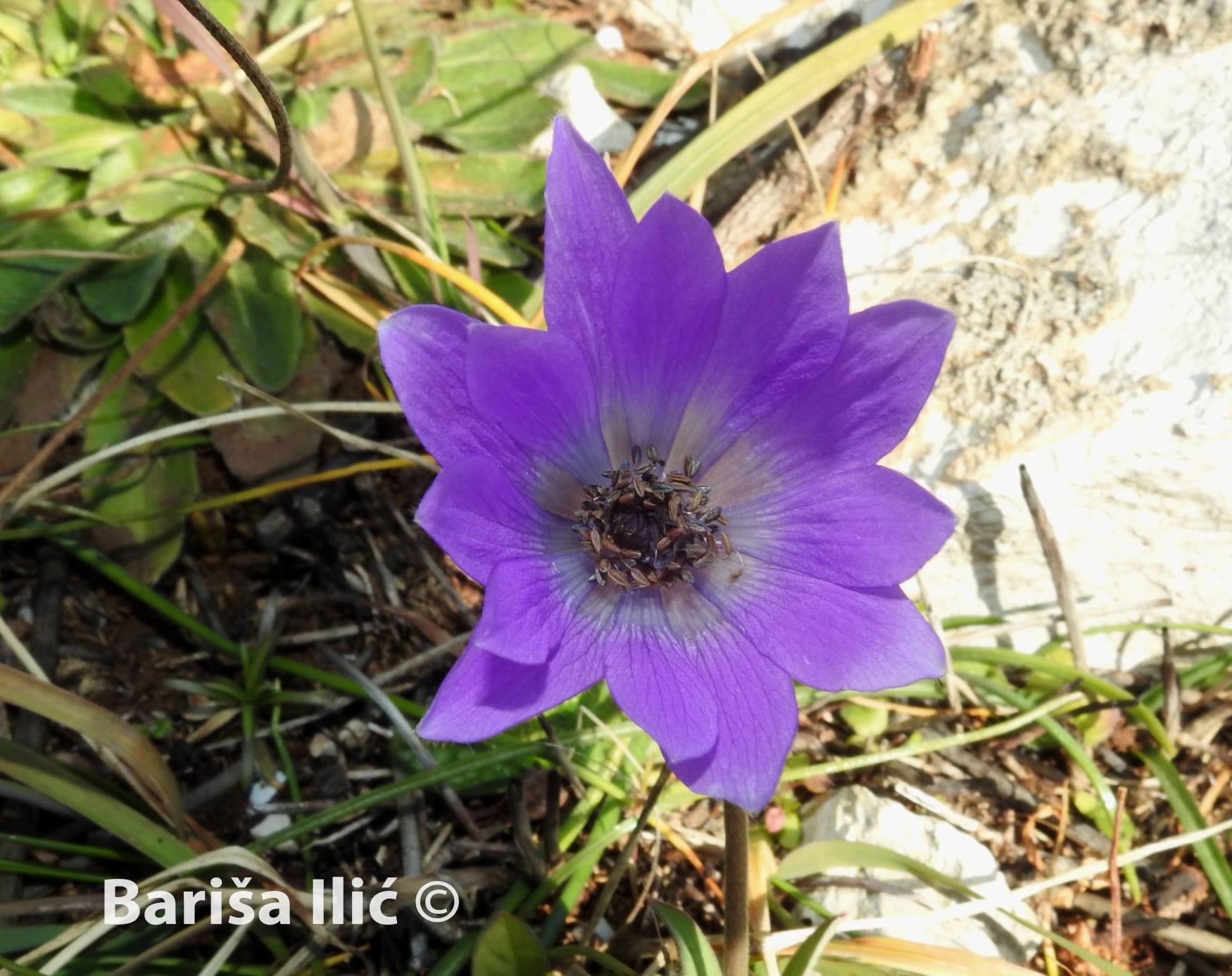 273445121_4959631427413630_5605372341840445963_n