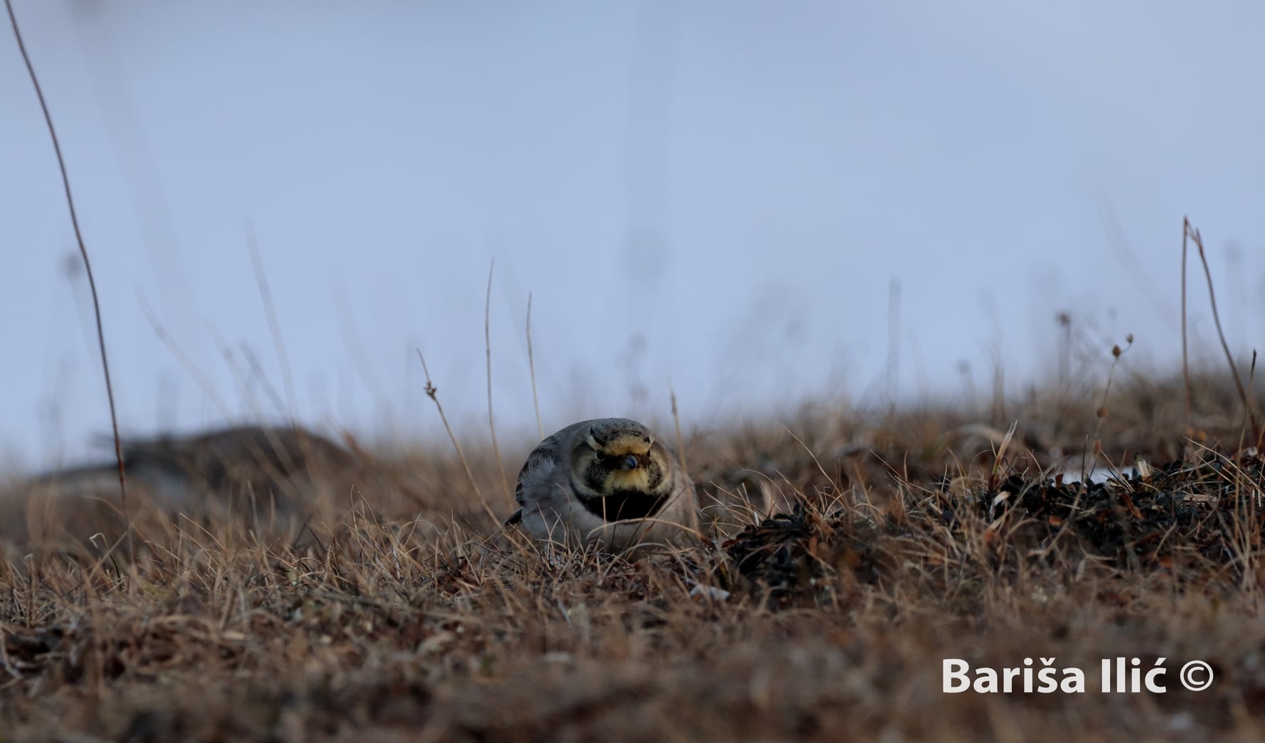 273461287_4959628947413878_7354256235522869066_n