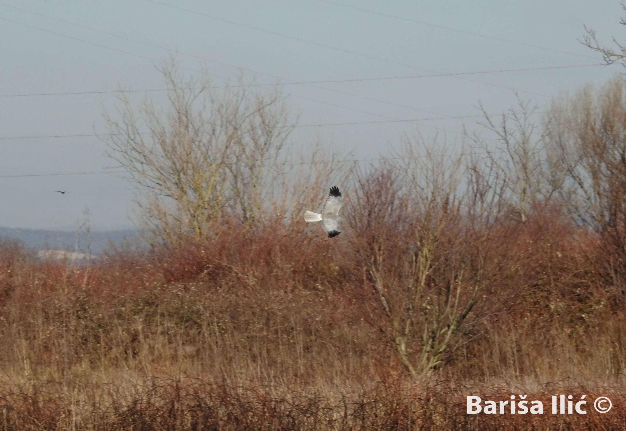 273499492_4959630877413685_3323445733572483759_n