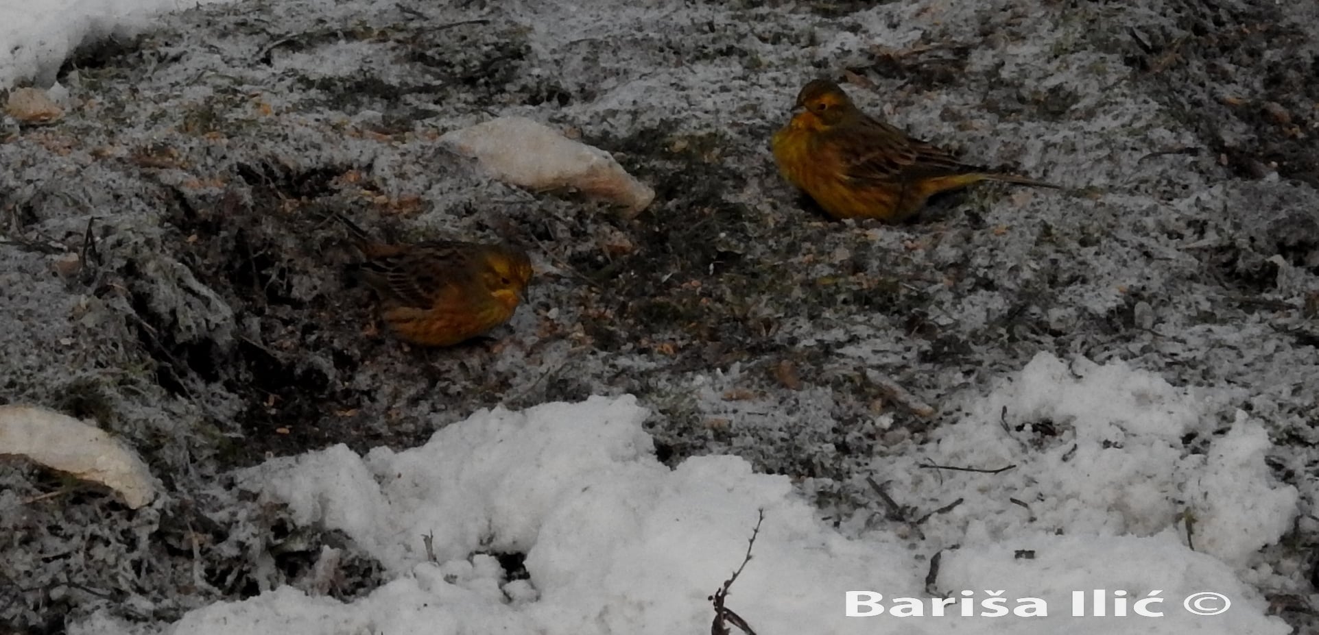 273503299_4959629460747160_4039454702612507444_n