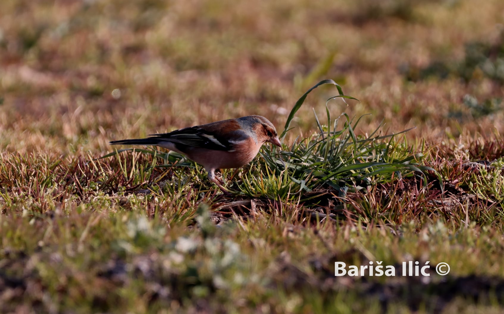 273524344_4959631487413624_9152621643068242251_n