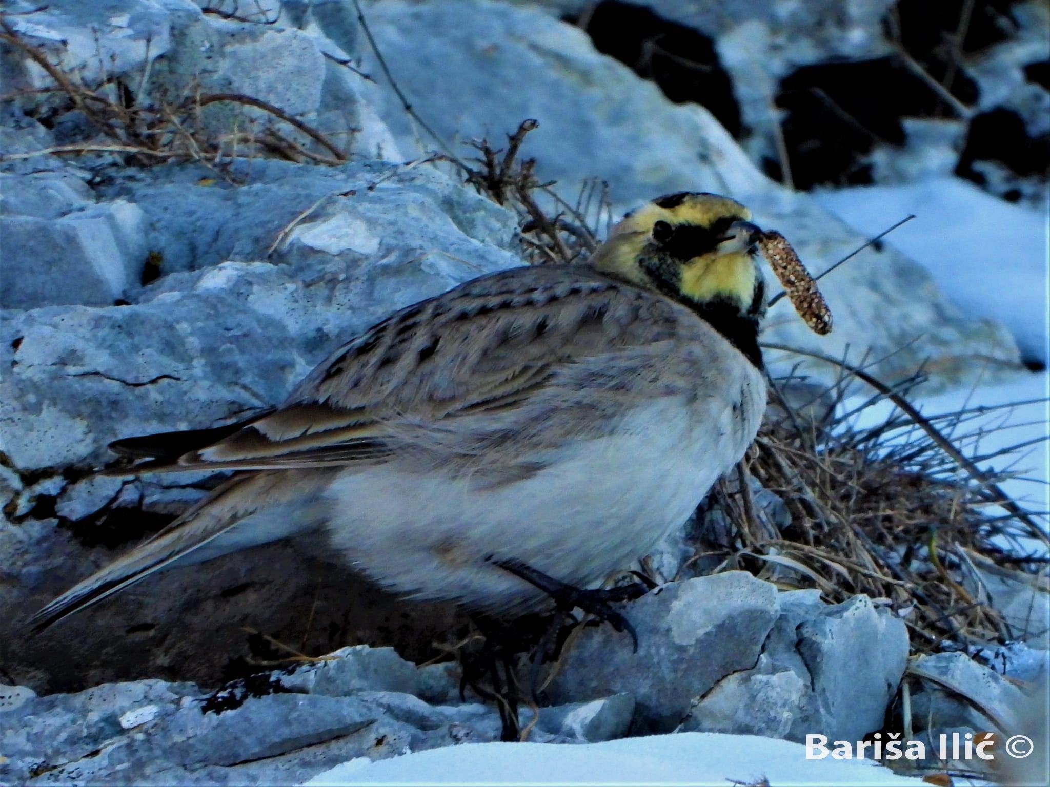 273543108_4959630954080344_88728694244670833_n