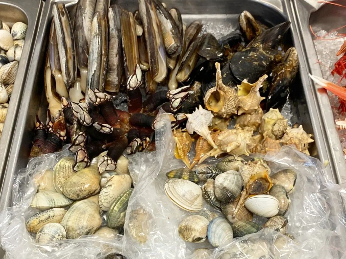 273569990_1385324005232971_1489603471169934445_n