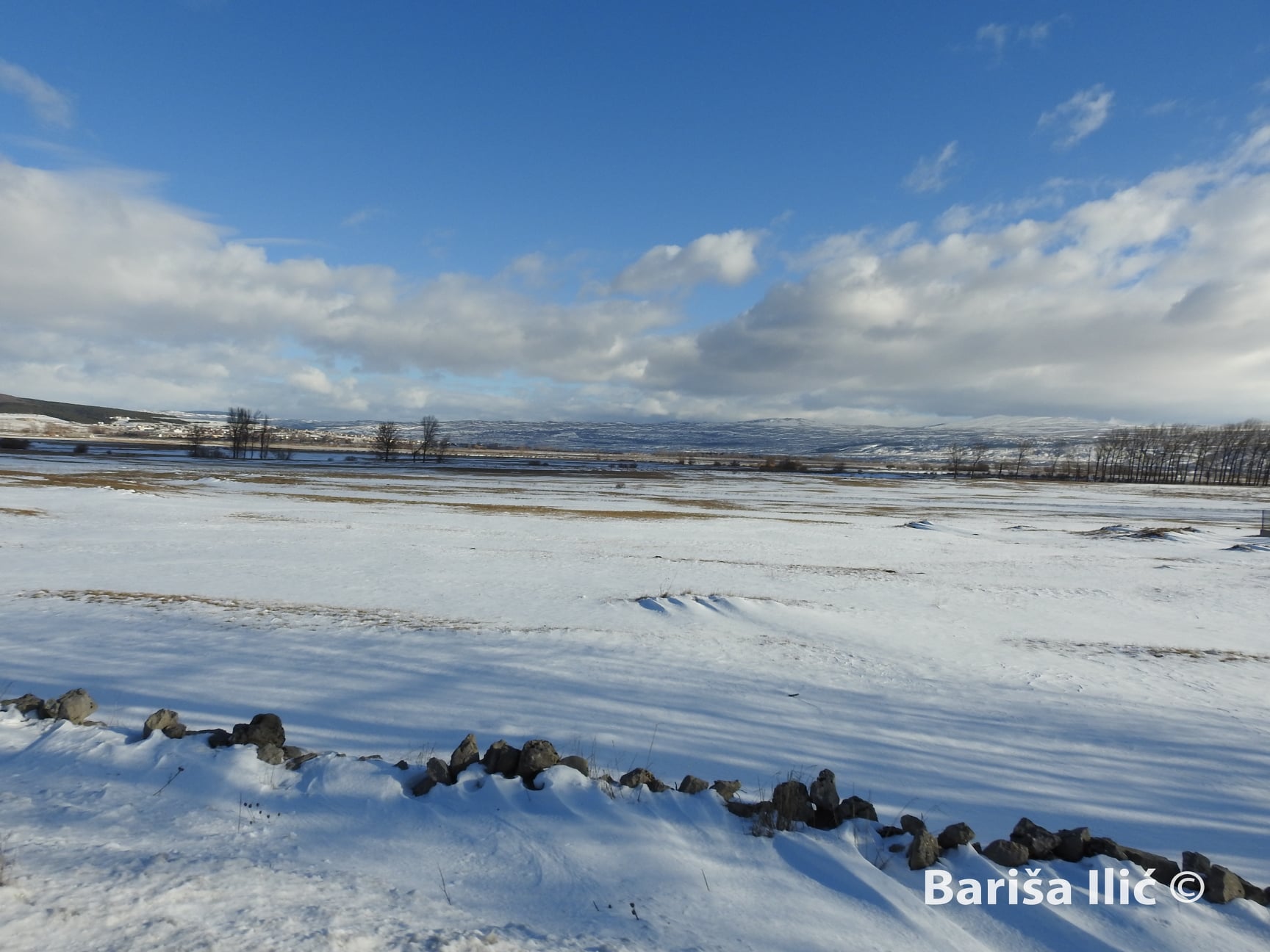 273575410_4959630620747044_2870875674541877059_n