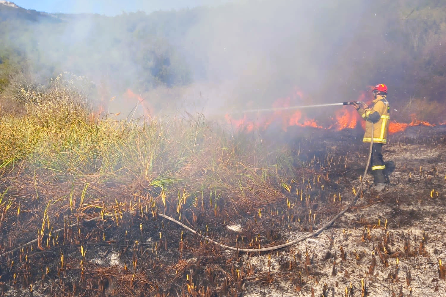 274933065_666240618029921_9126509758233984601_n