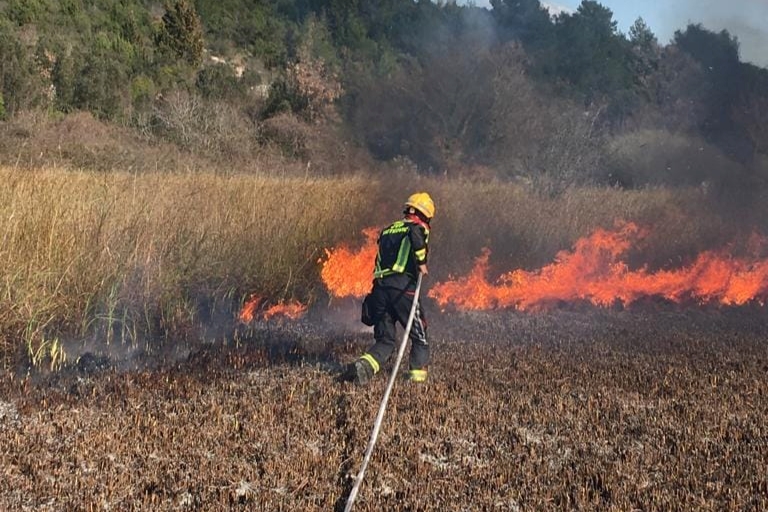 274996737_666240511363265_3053924548457033096_n