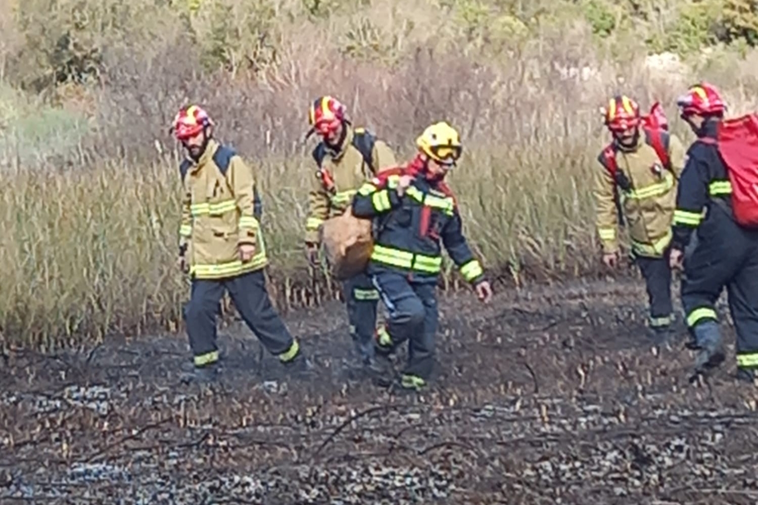 275041848_666240551363261_8576291144450835892_n