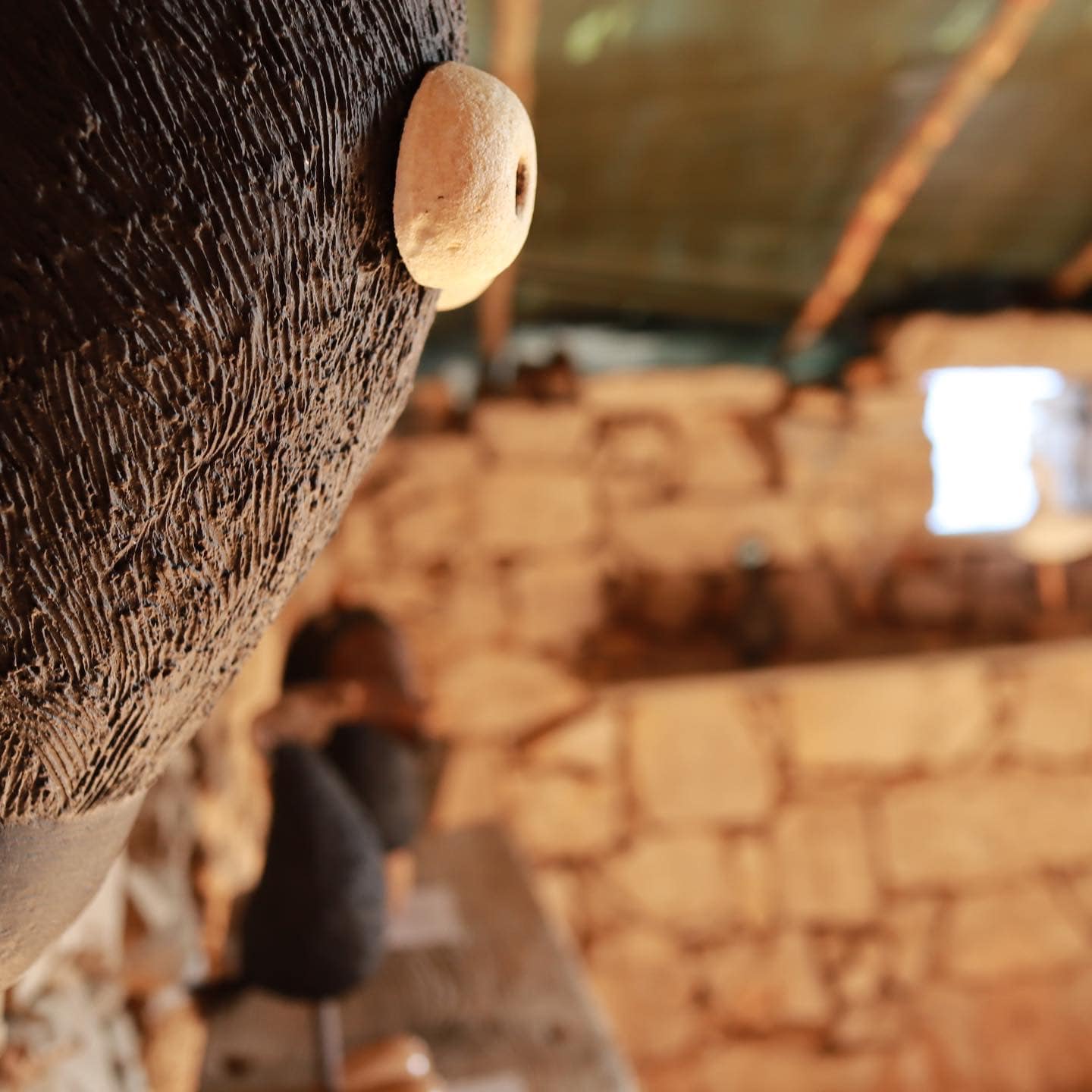 290218900_600295224856861_858275746500736310_n