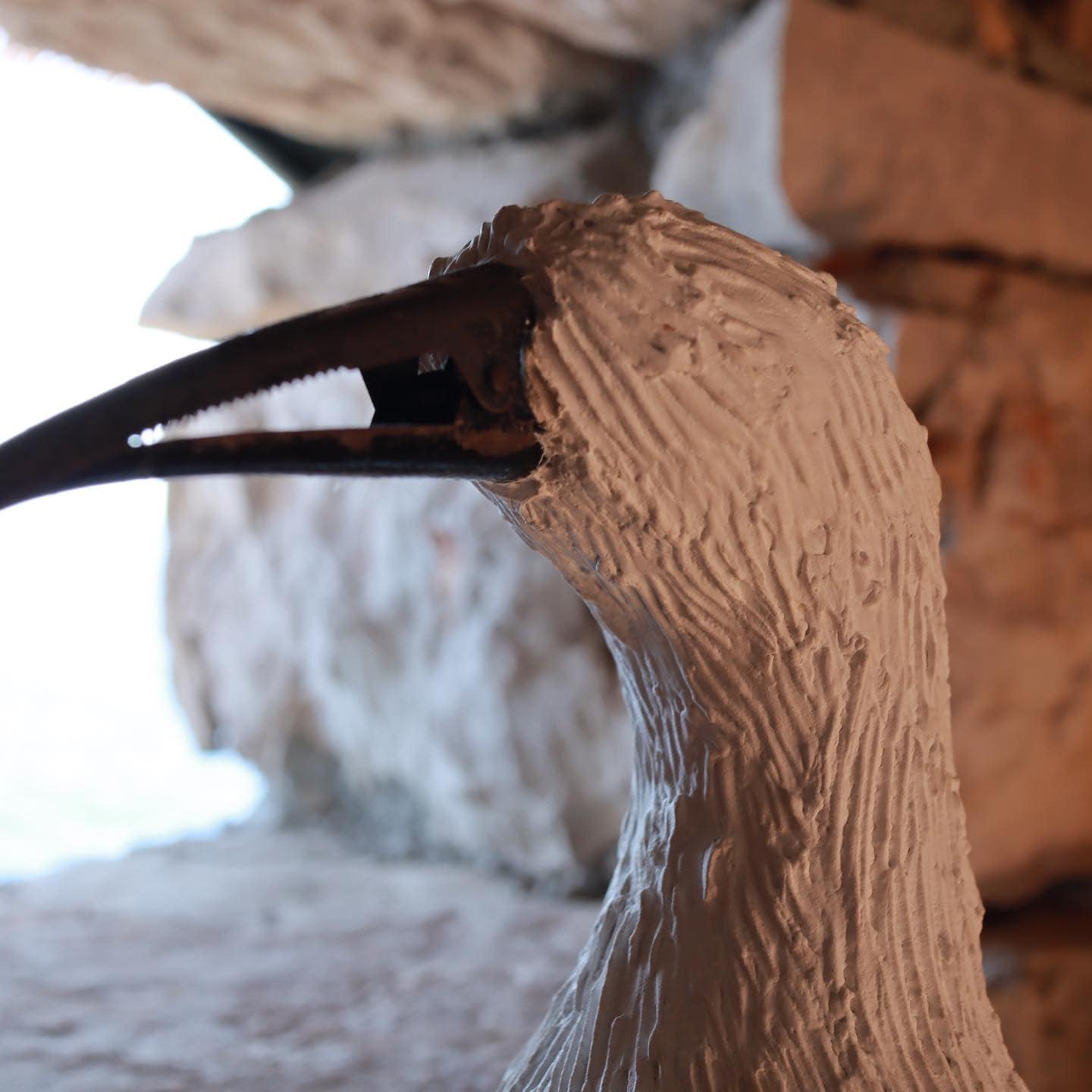 290604845_600295108190206_8010446833916969204_n