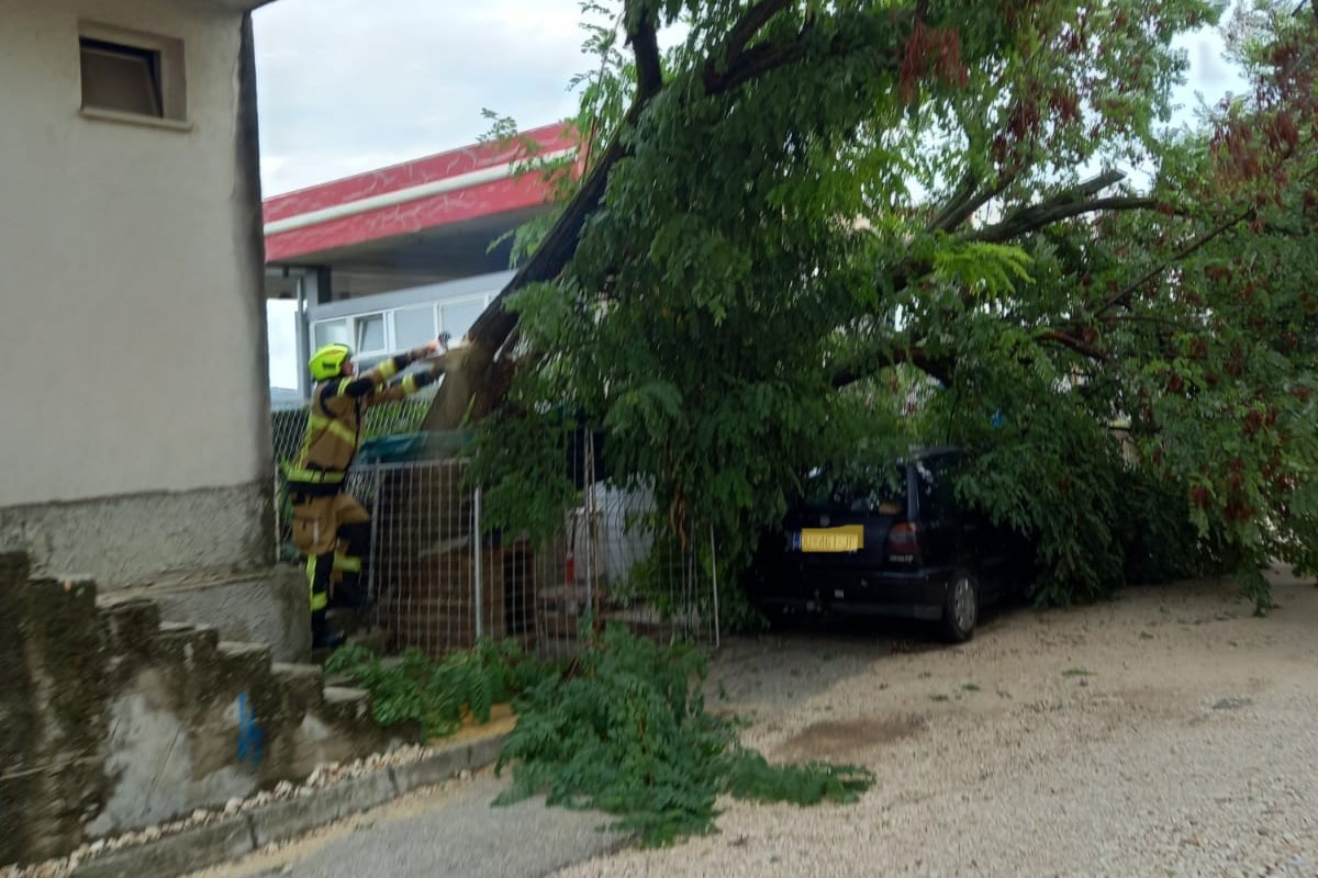 305839259_788991159088199_1570174662873423816_n