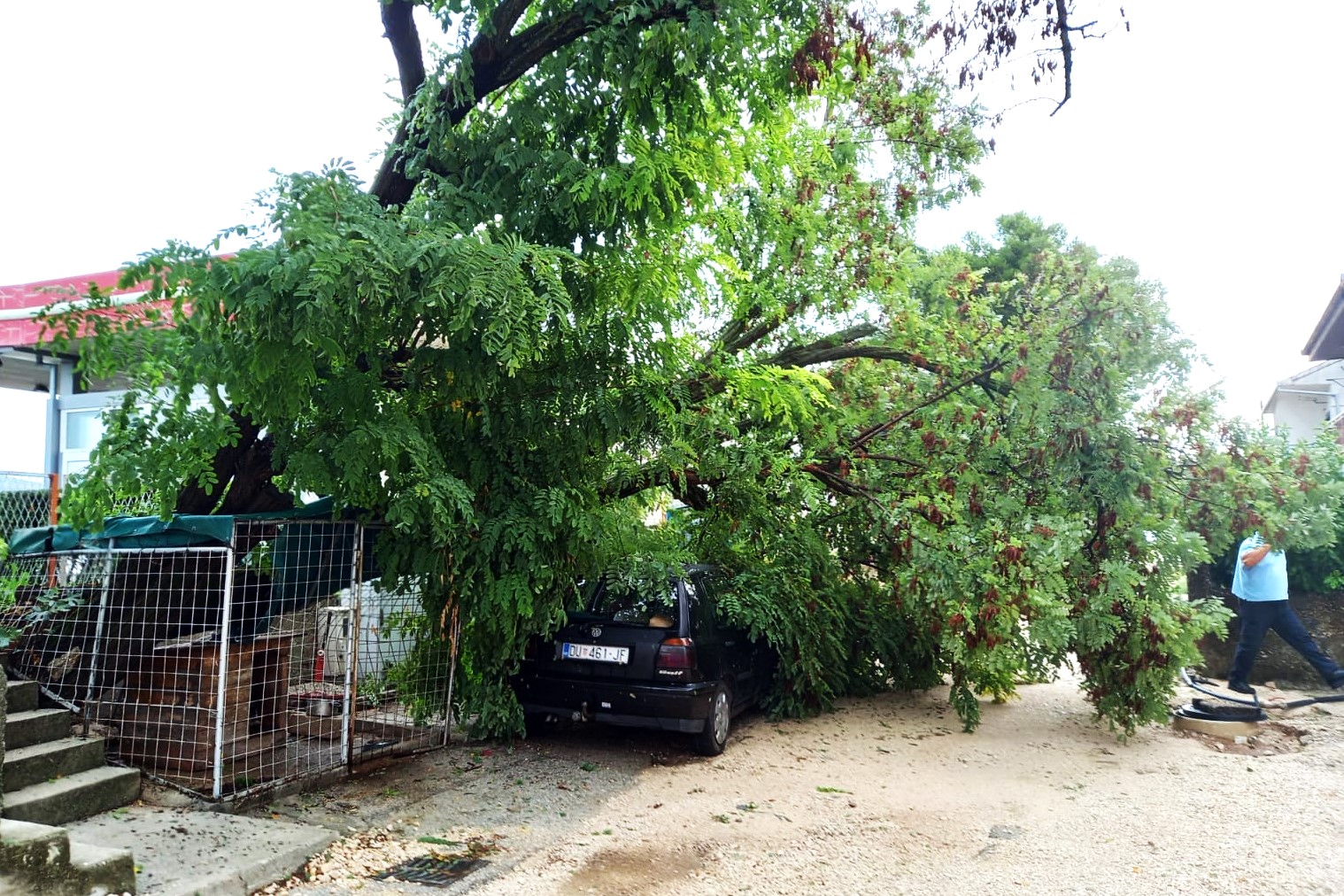 305911874_788991185754863_496852379848602034_n