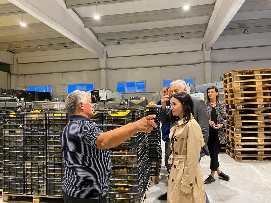 FB_IMG_1664089762866