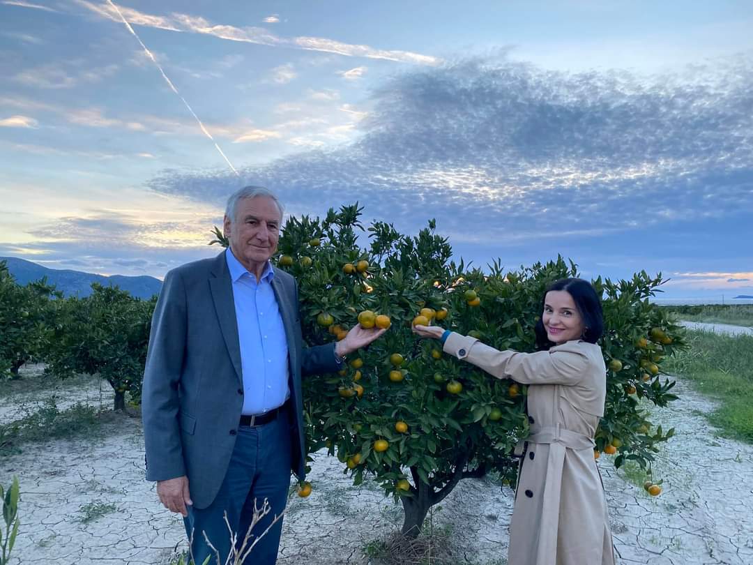 FB_IMG_1664089772938