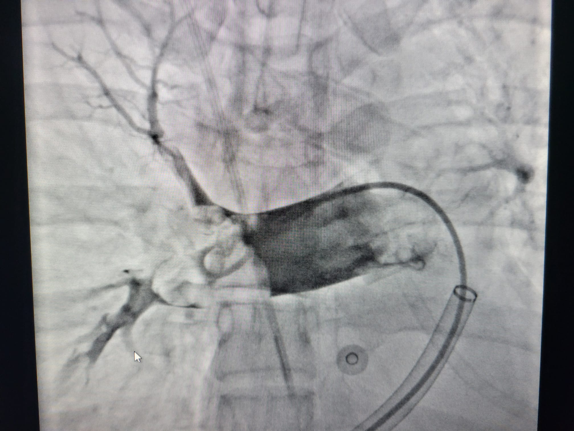 WhatsApp Image 2022-09-17 at 13